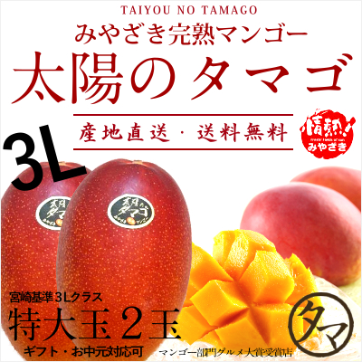 太陽のタマゴ（マンゴー）特大玉2玉サムネイル01