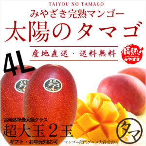 太陽のタマゴ(マンゴー)超特大玉2玉