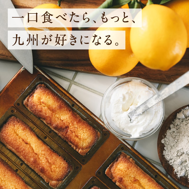 九州チーズタルト5本×4箱サムネイル01