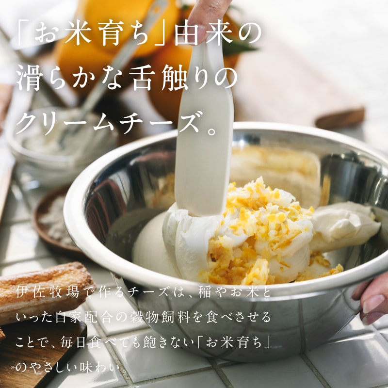 九州チーズタルト5本×4箱サムネイル01