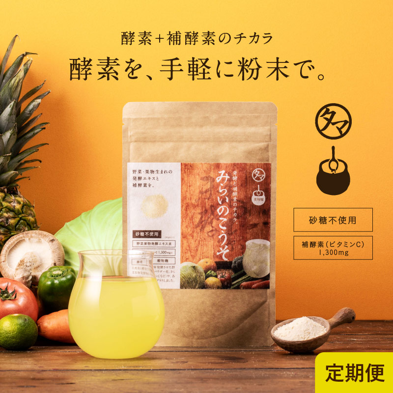 タマチャンショップ みらいのこうそ  レモン味 100g×2袋