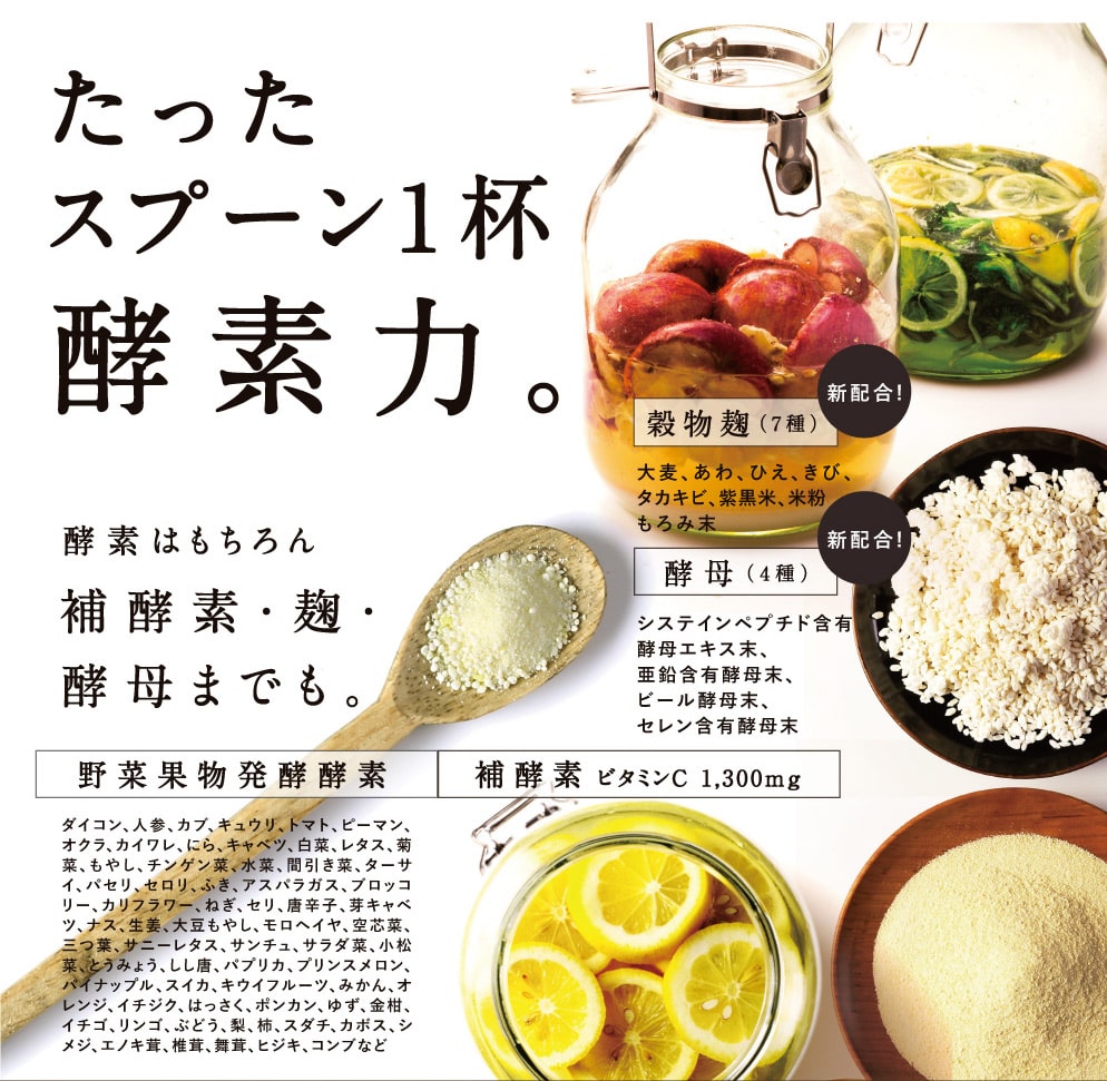 みらいのこうそ