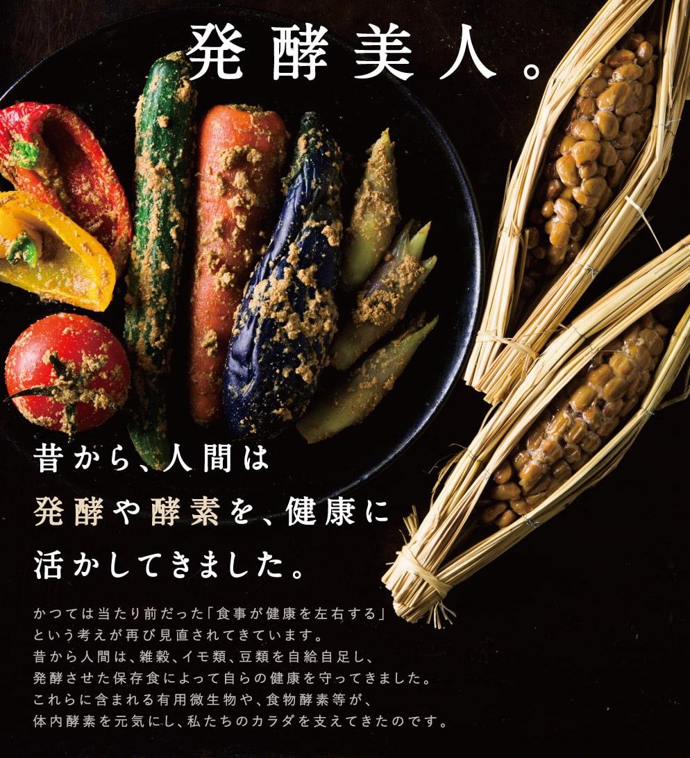 みらいのこうそ