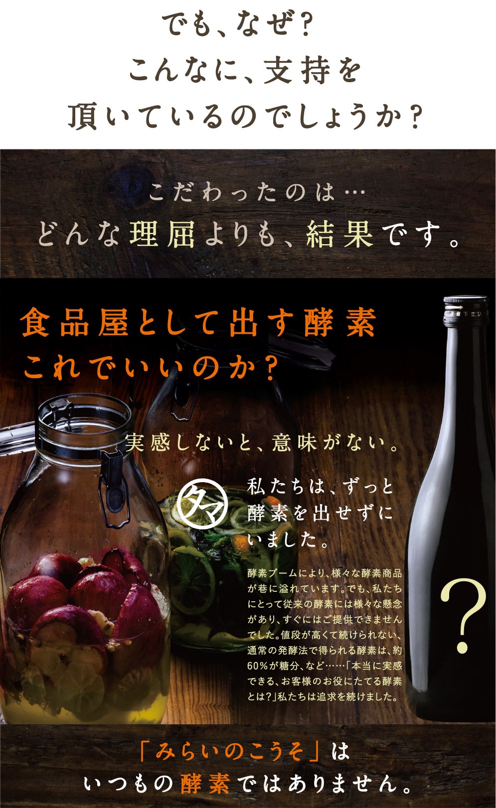 みらいのこうそ