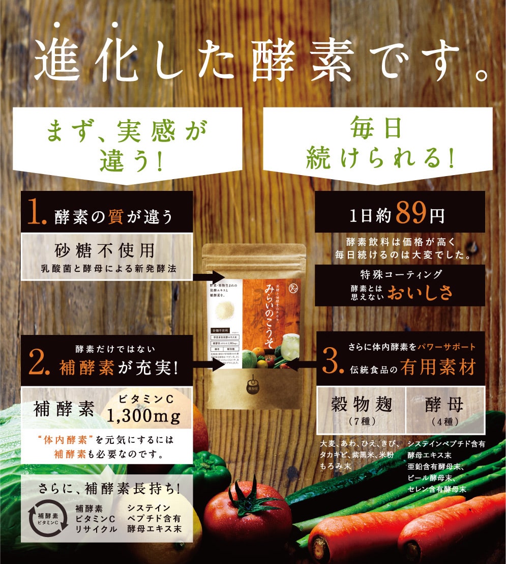 みらいのこうそ