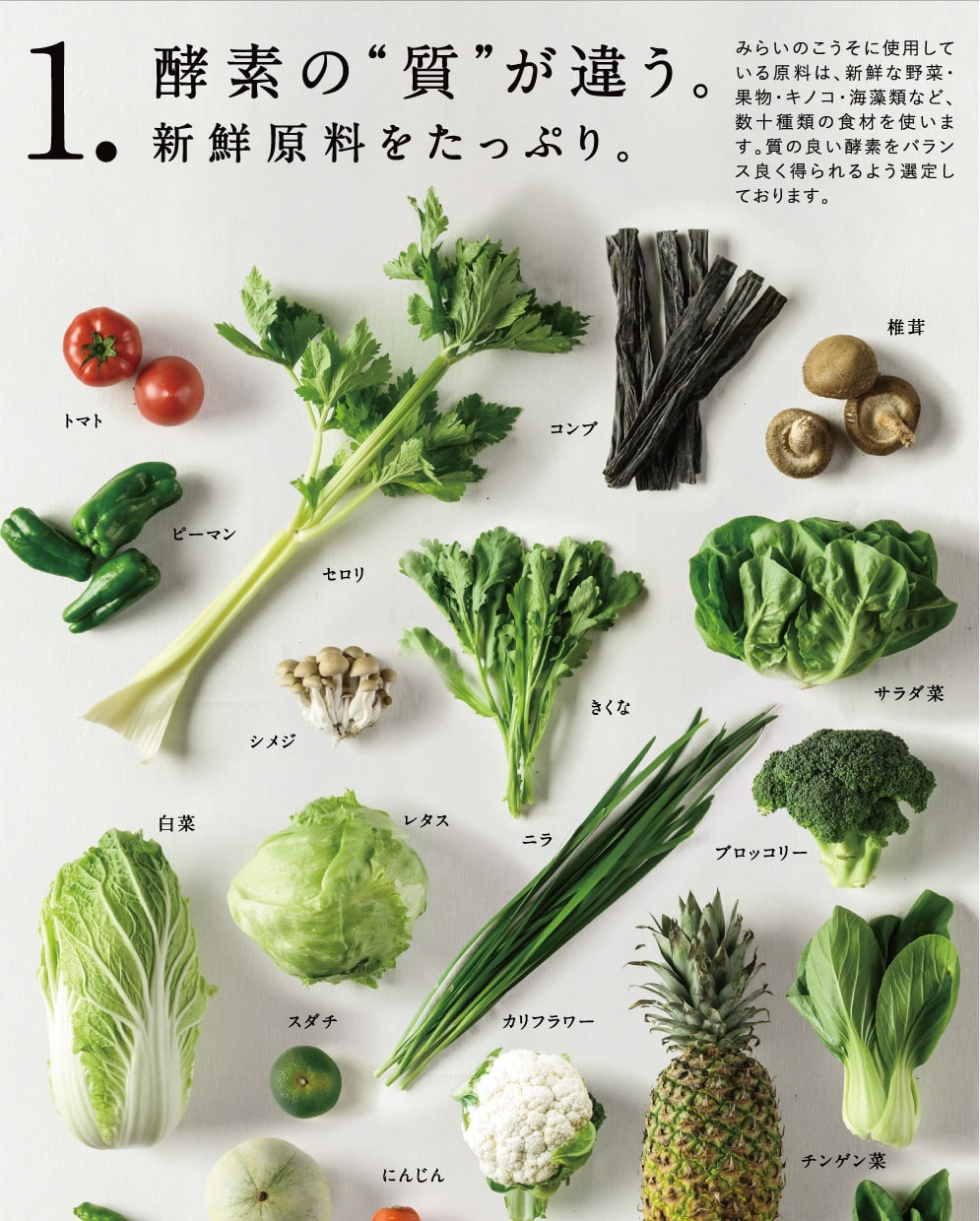 みらいのこうそ