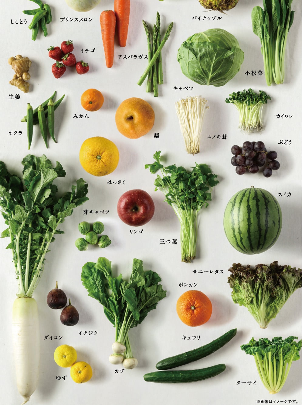 みらいのこうそ