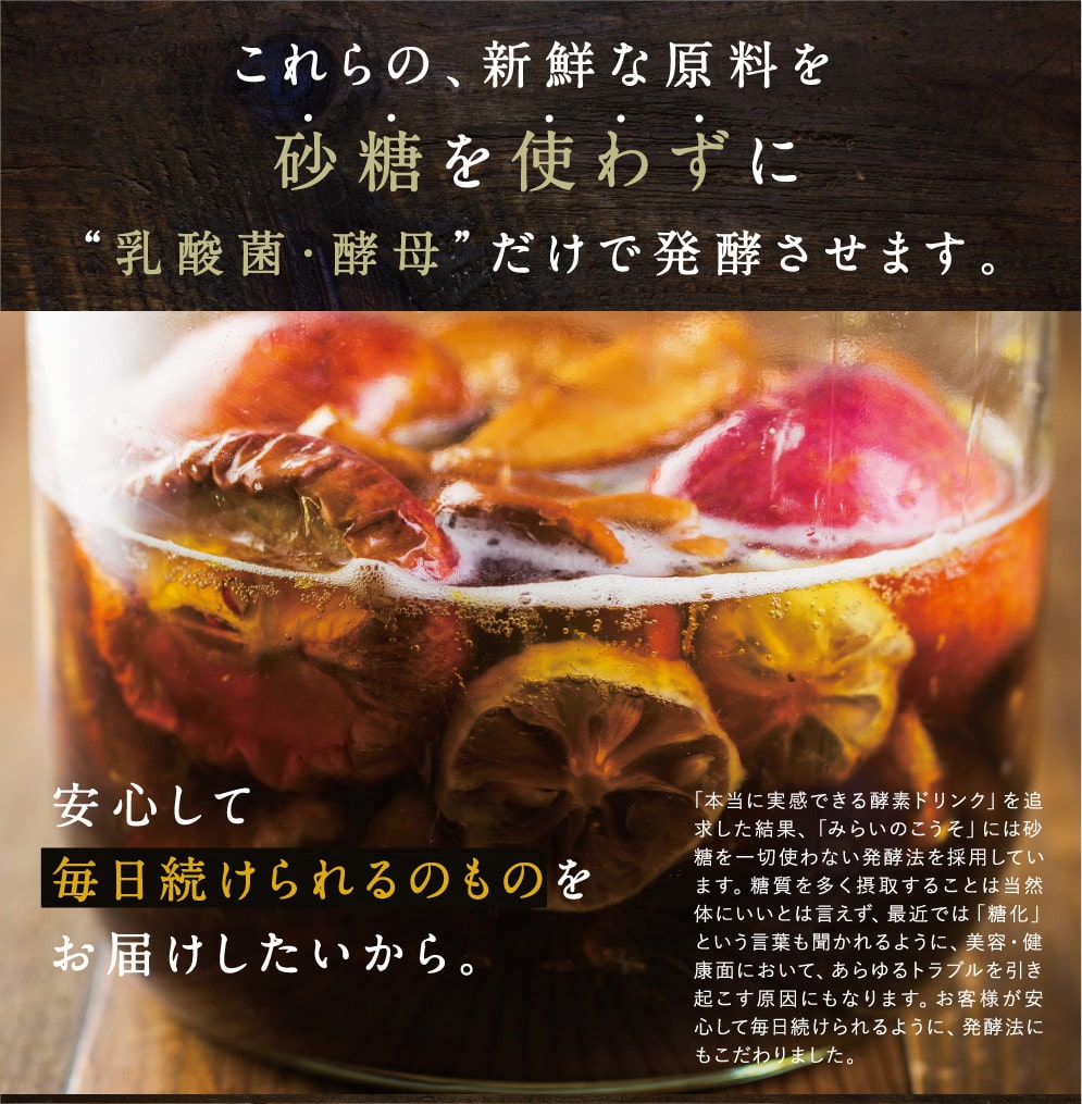 みらいのこうそ