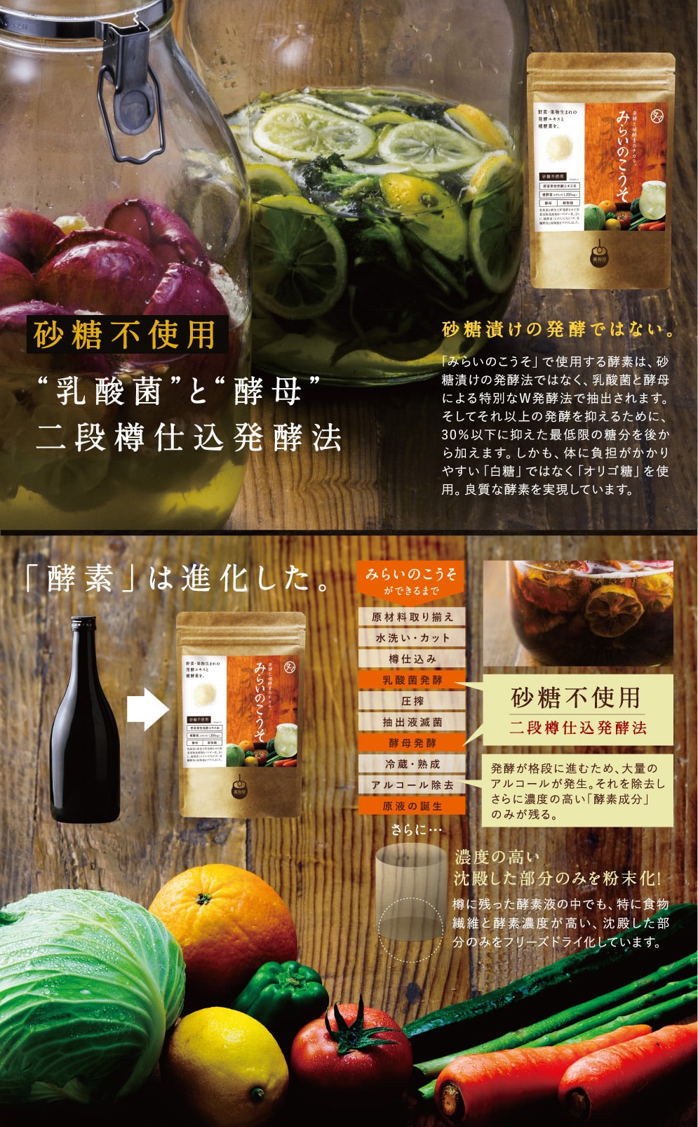 みらいのこうそ