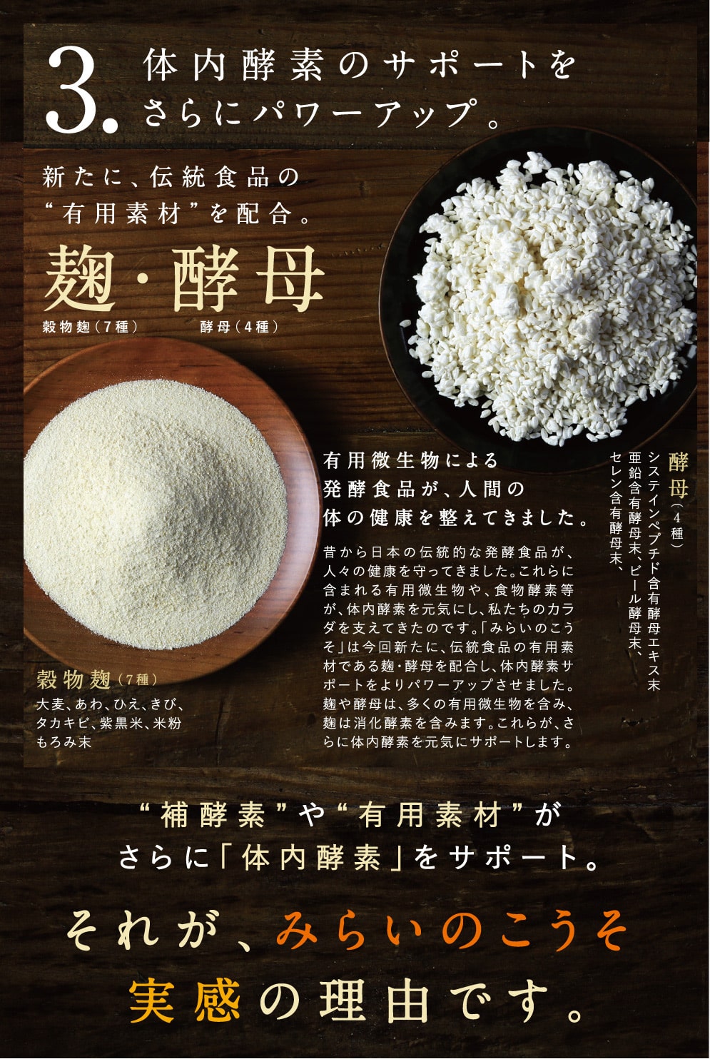 みらいのこうそ