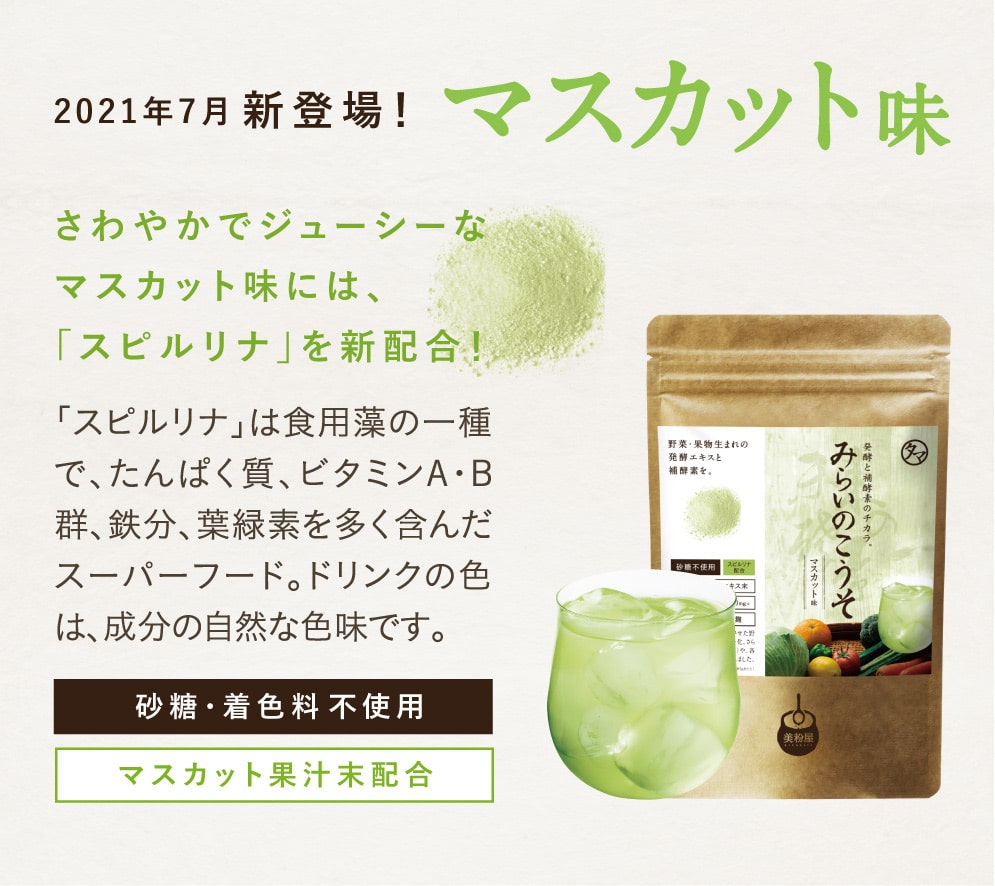 みらいのこうそ