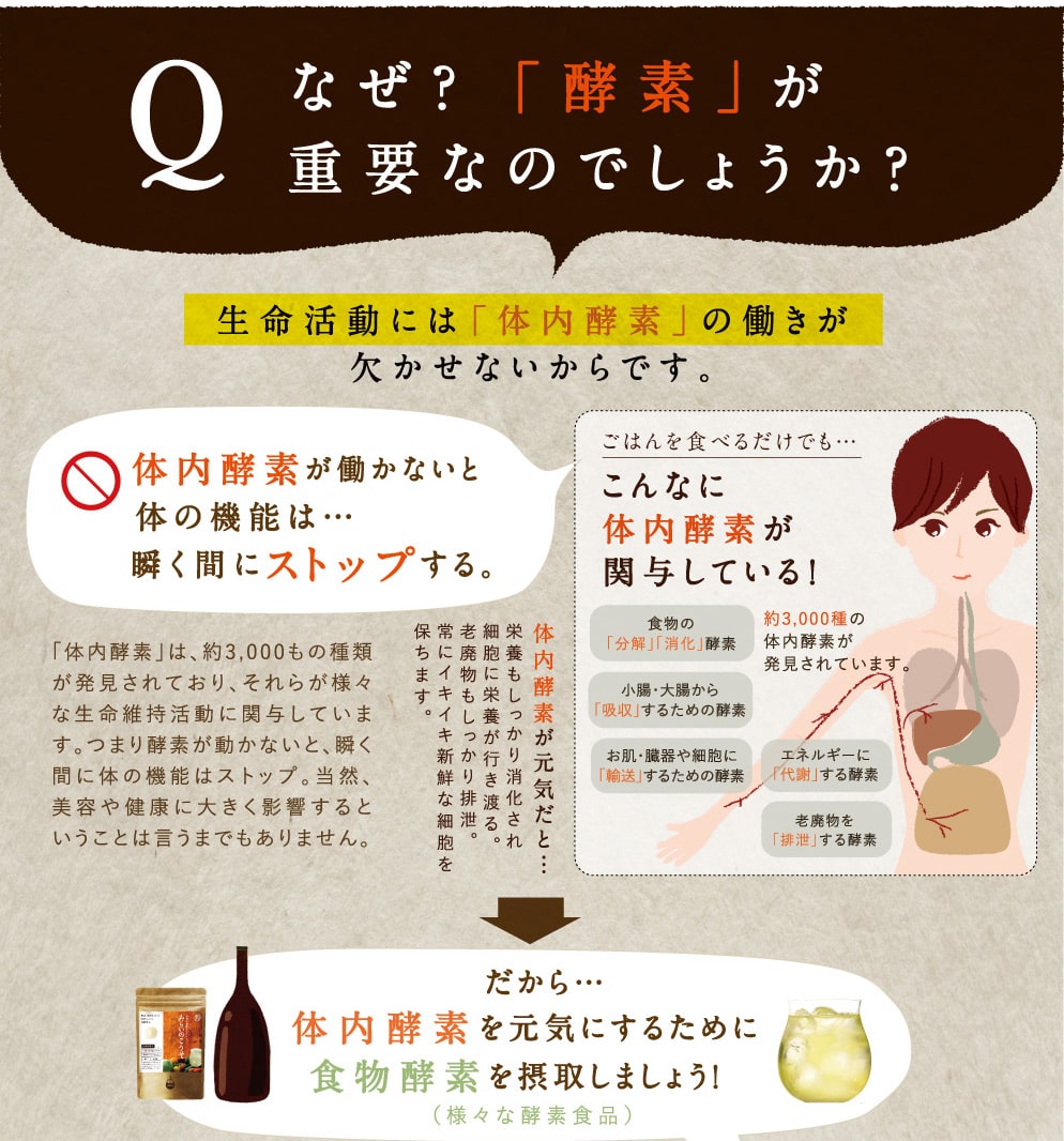 みらいのこうそ