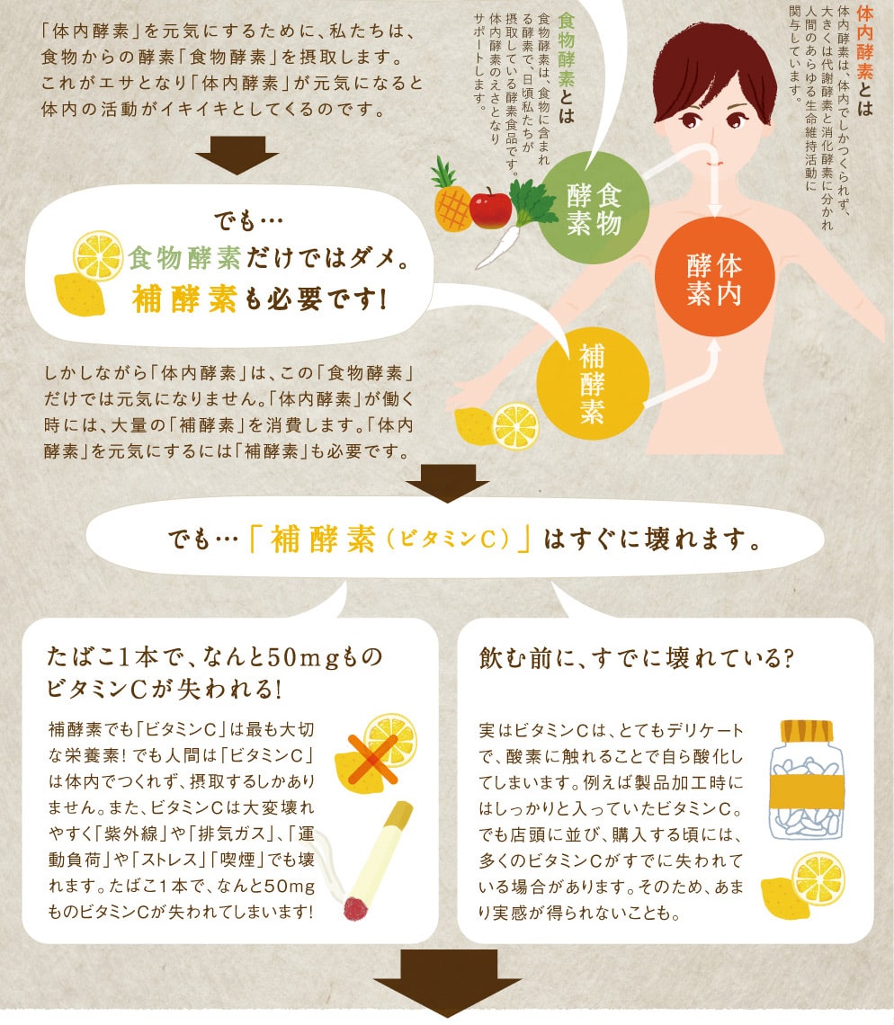 みらいのこうそ