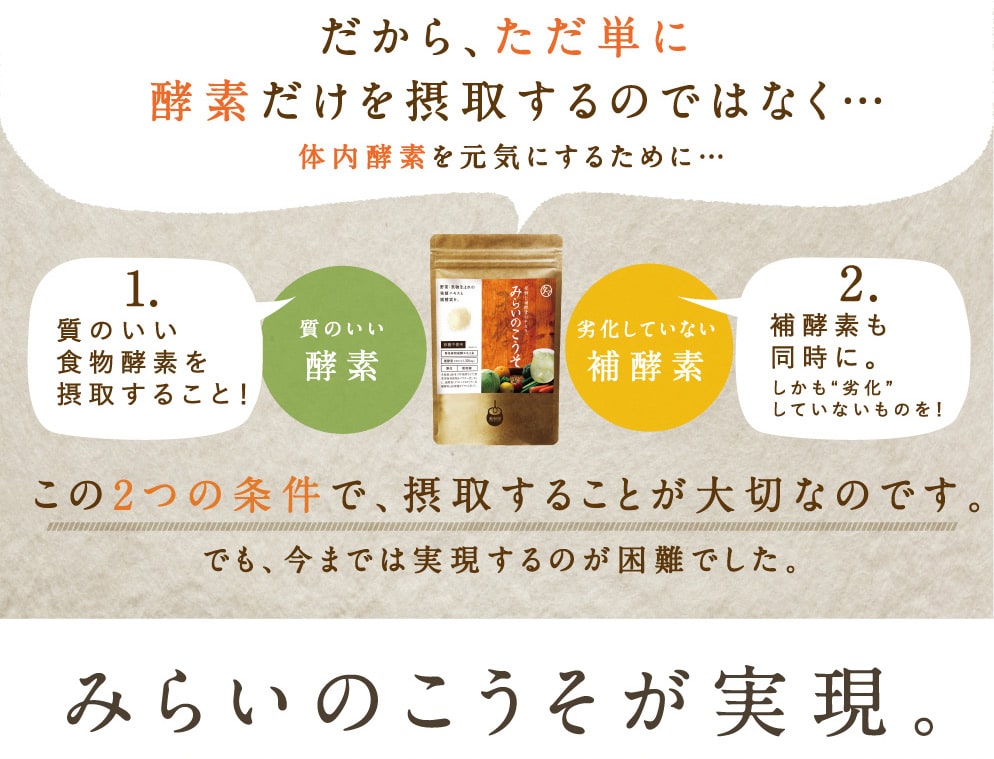 みらいのこうそ