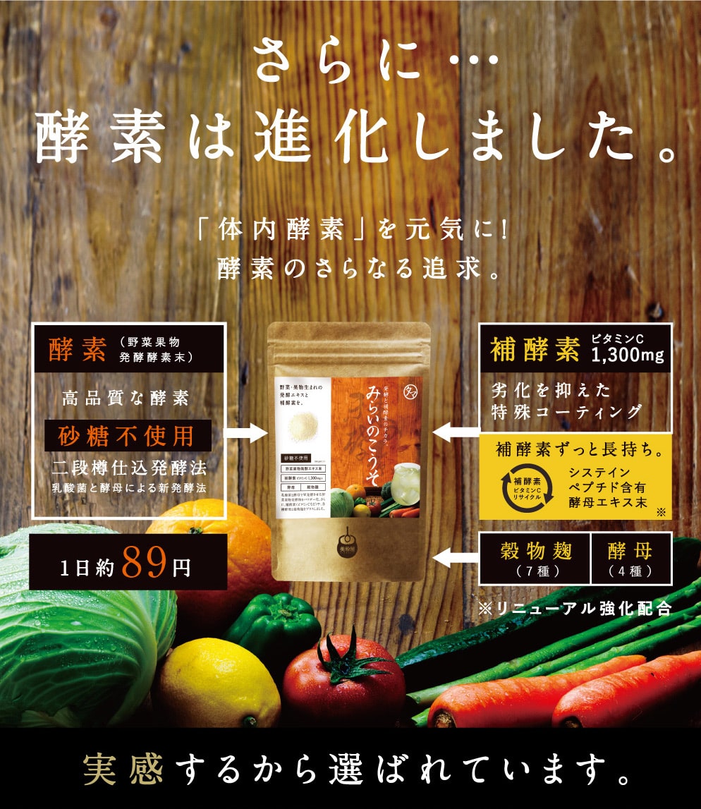 みらいのこうそ