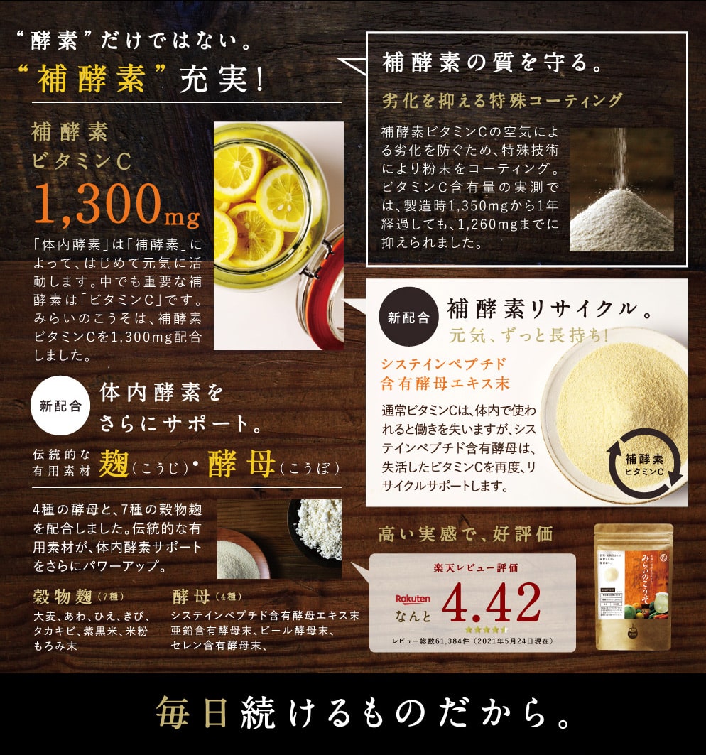 みらいのこうそ