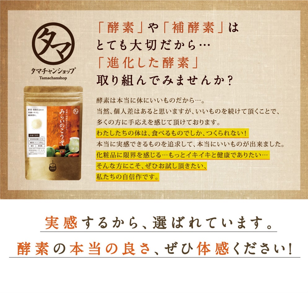 みらいのこうそ