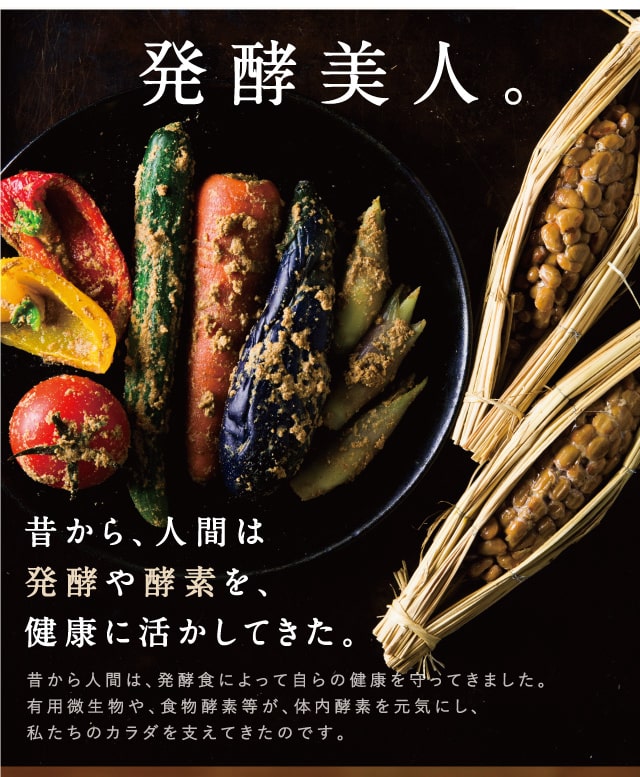 みらいのこうそ