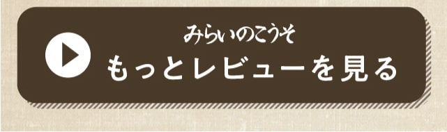 みらいのこうそ