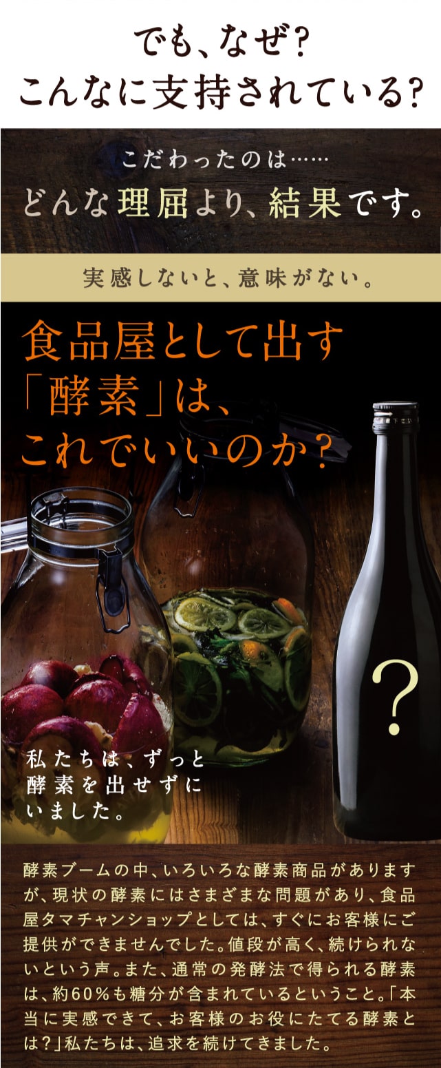 みらいのこうそ