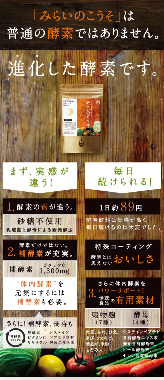 みらいのこうそ