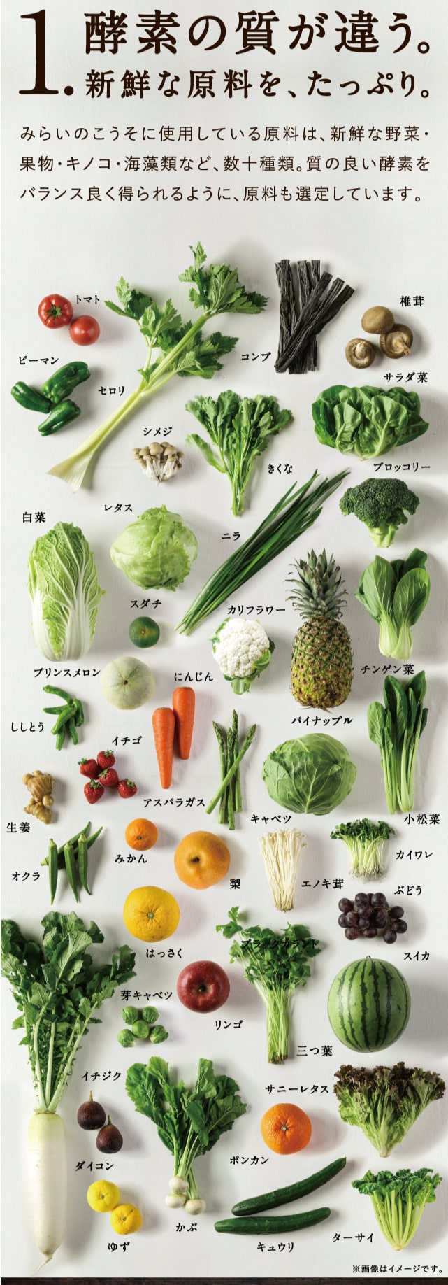 みらいのこうそ