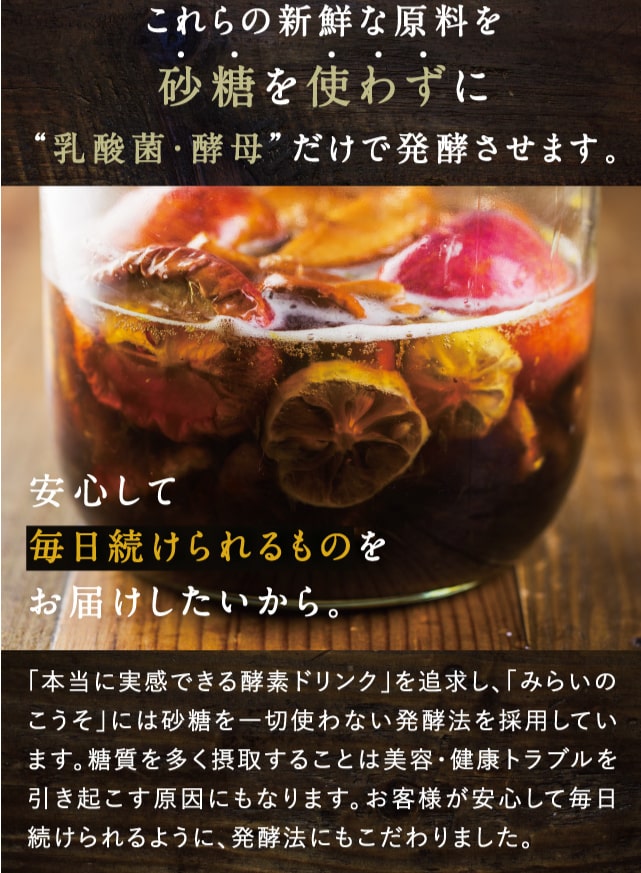 みらいのこうそ