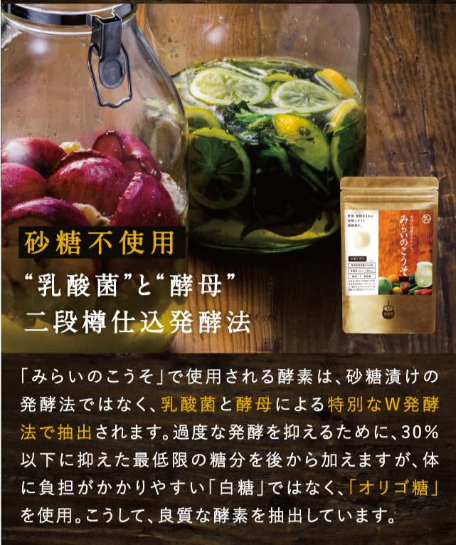 みらいのこうそ