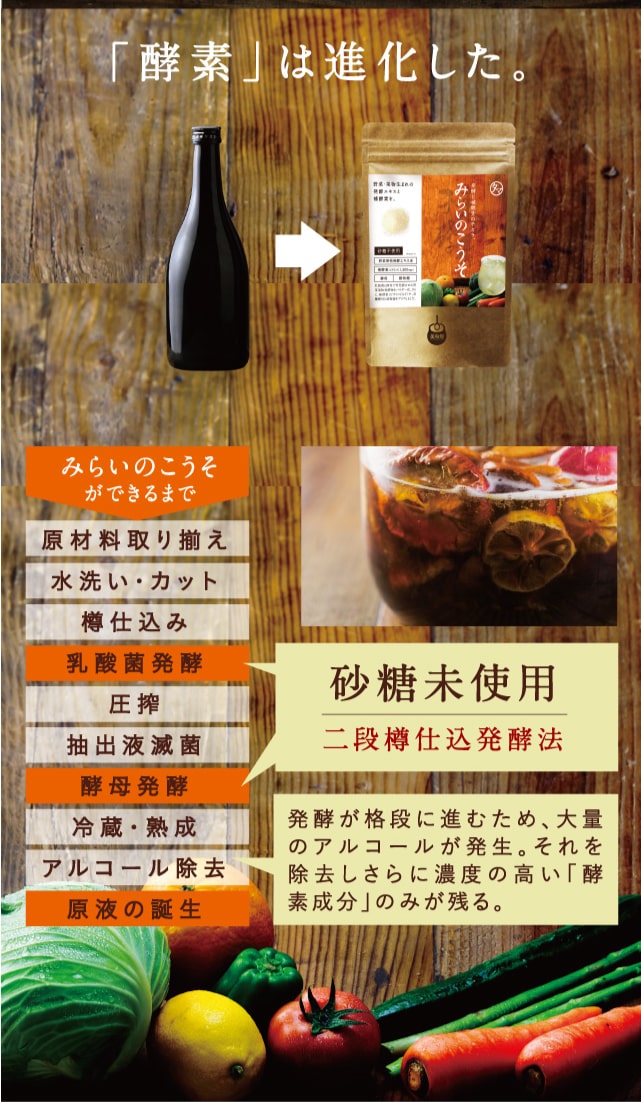 みらいのこうそ