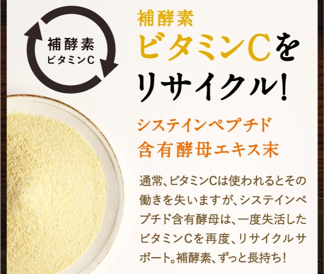 みらいのこうそ