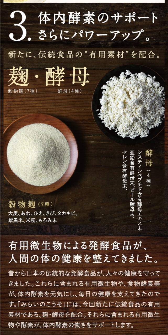 みらいのこうそ