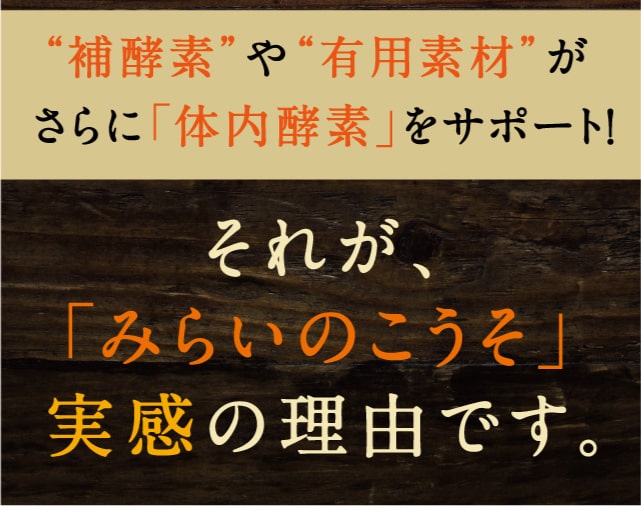 みらいのこうそ