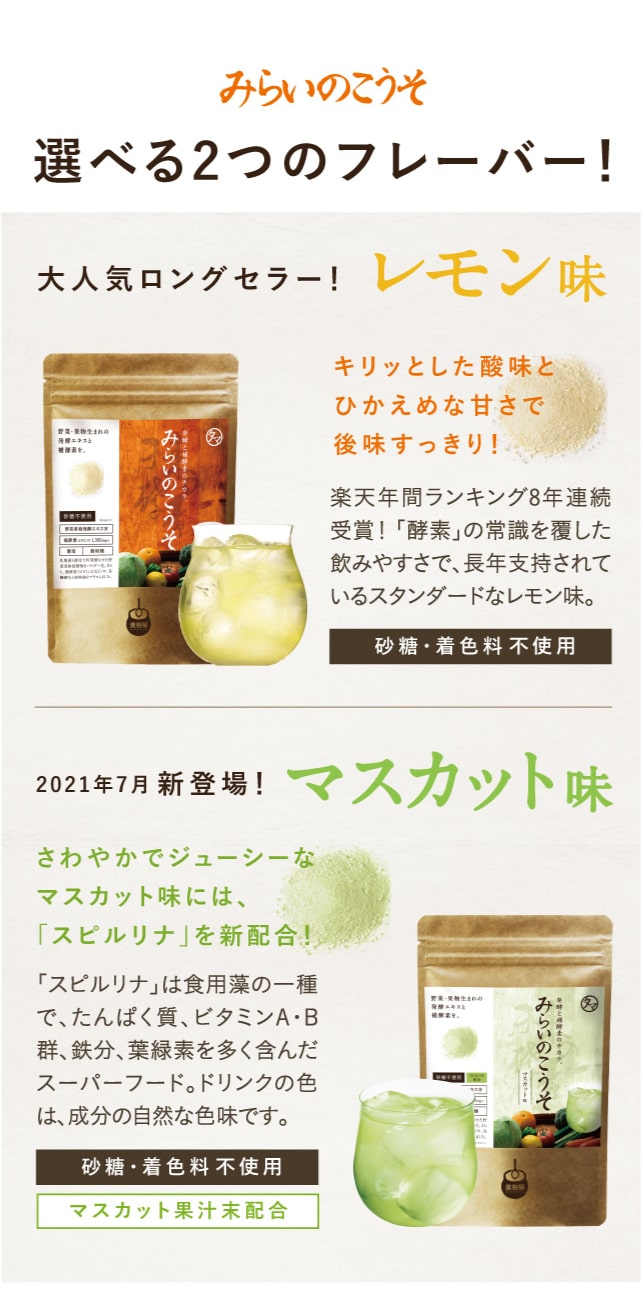 みらいのこうそ