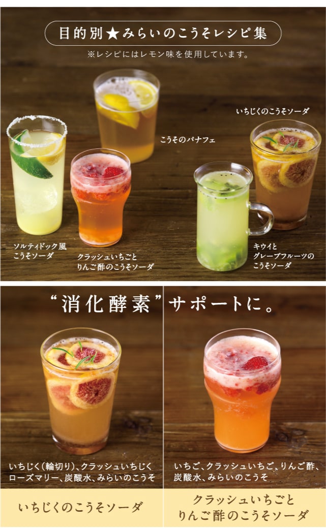 みらいのこうそ