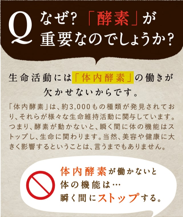 みらいのこうそ