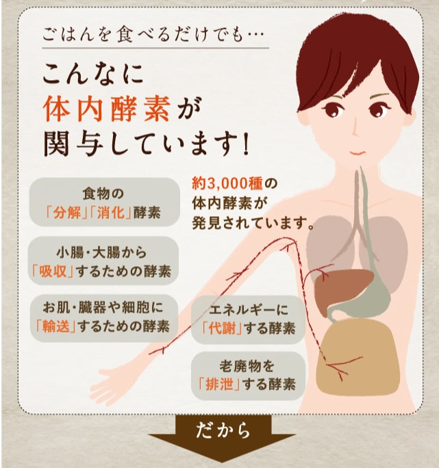 みらいのこうそ