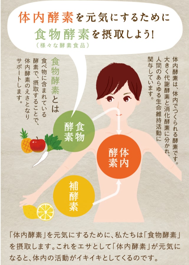 みらいのこうそ