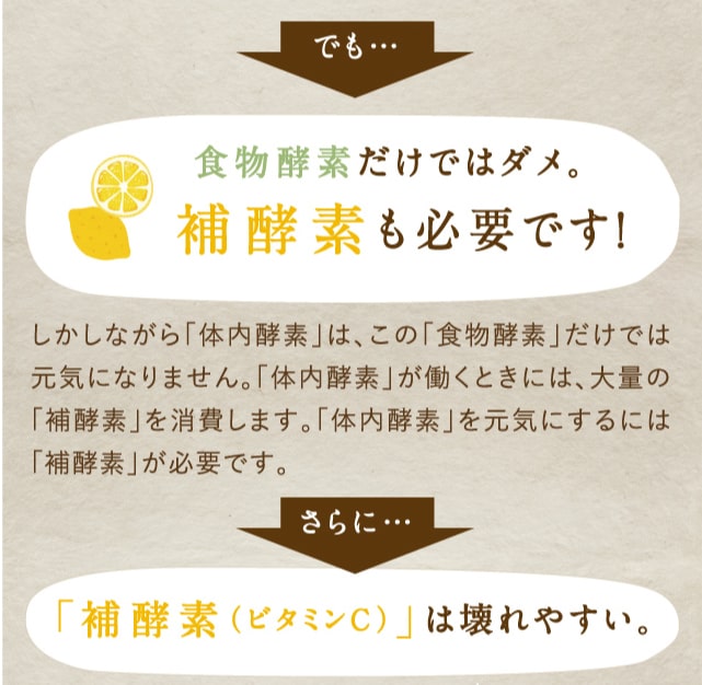 みらいのこうそ