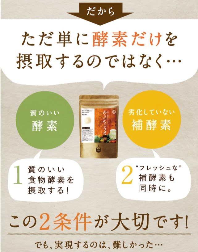 みらいのこうそ