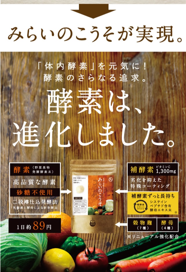 みらいのこうそ