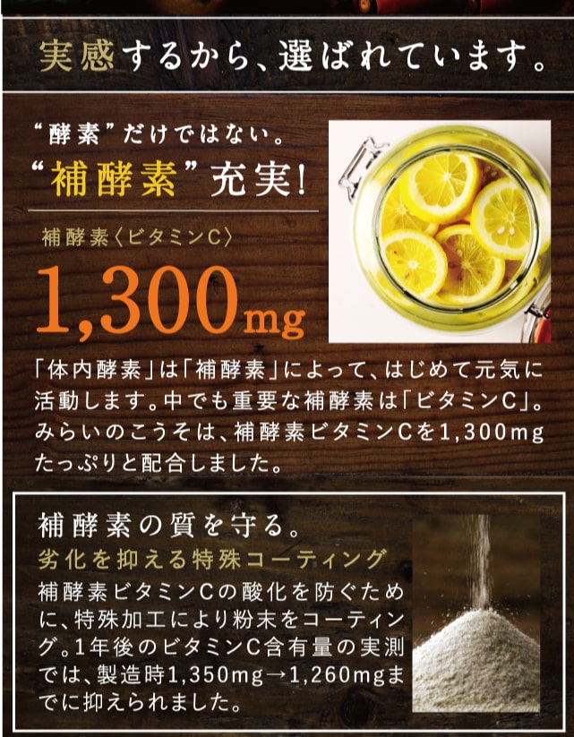 みらいのこうそ