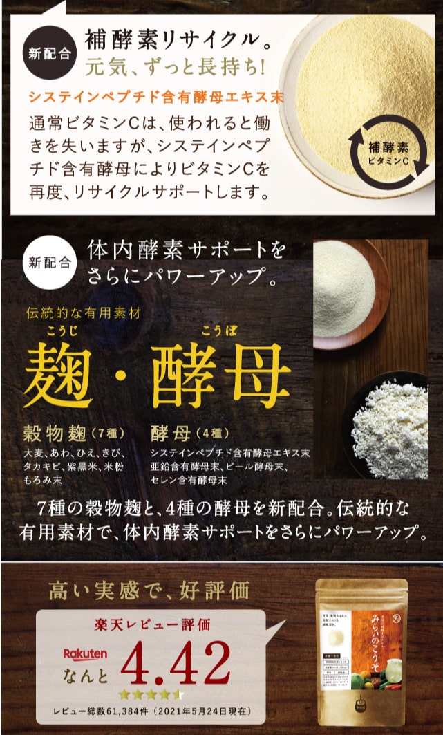 みらいのこうそ