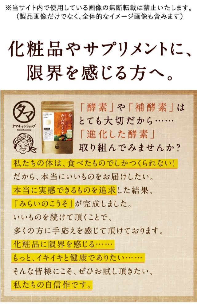 みらいのこうそ