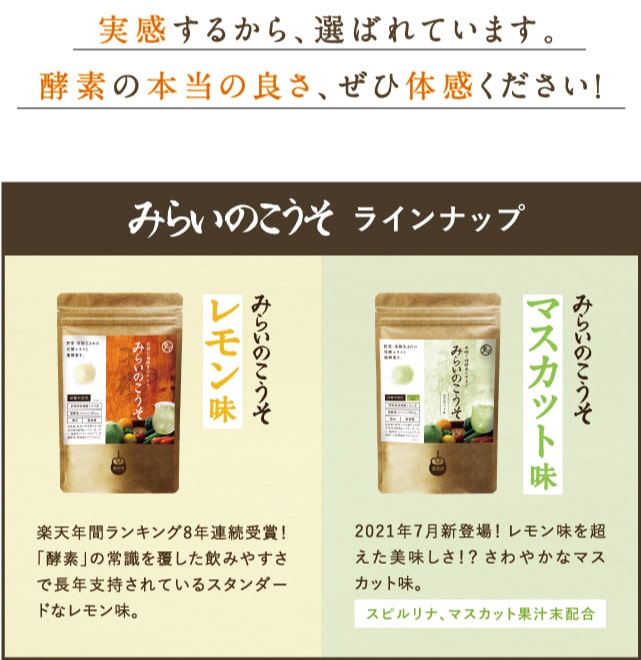 みらいのこうそ