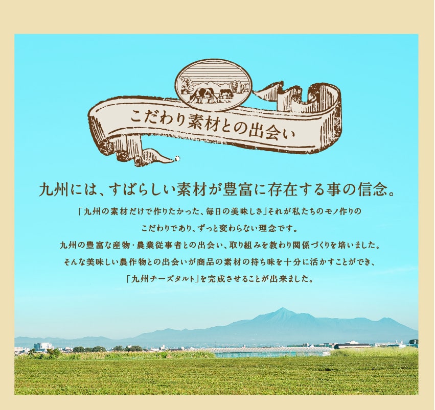 九州チーズタルト