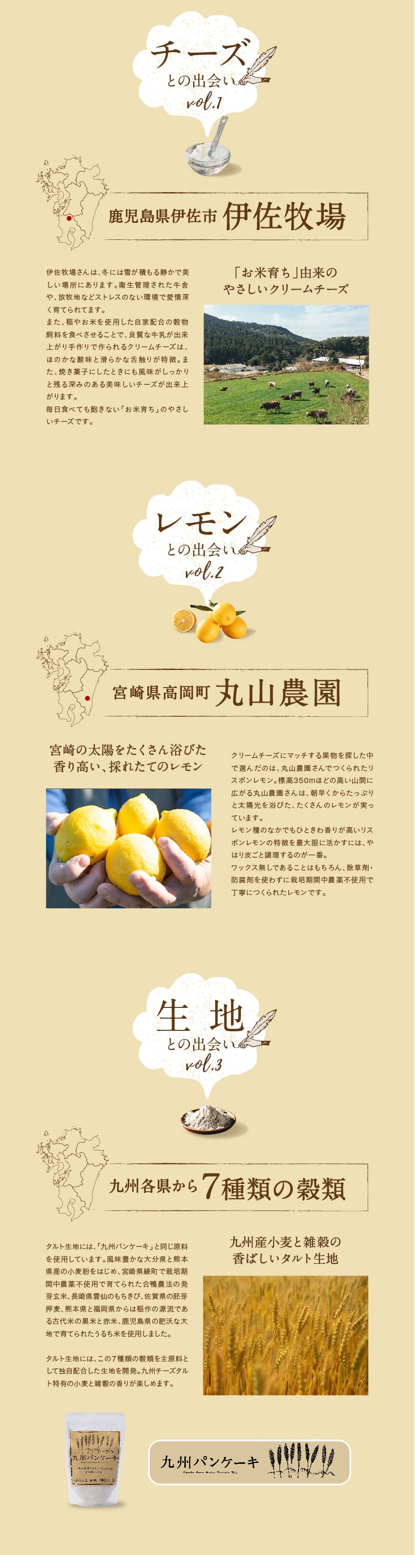 九州チーズタルト
