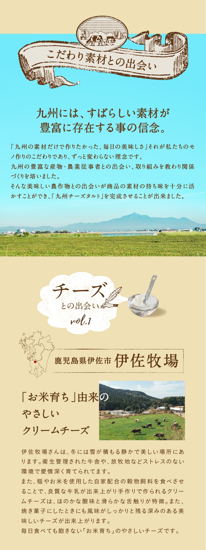 九州チーズタルト