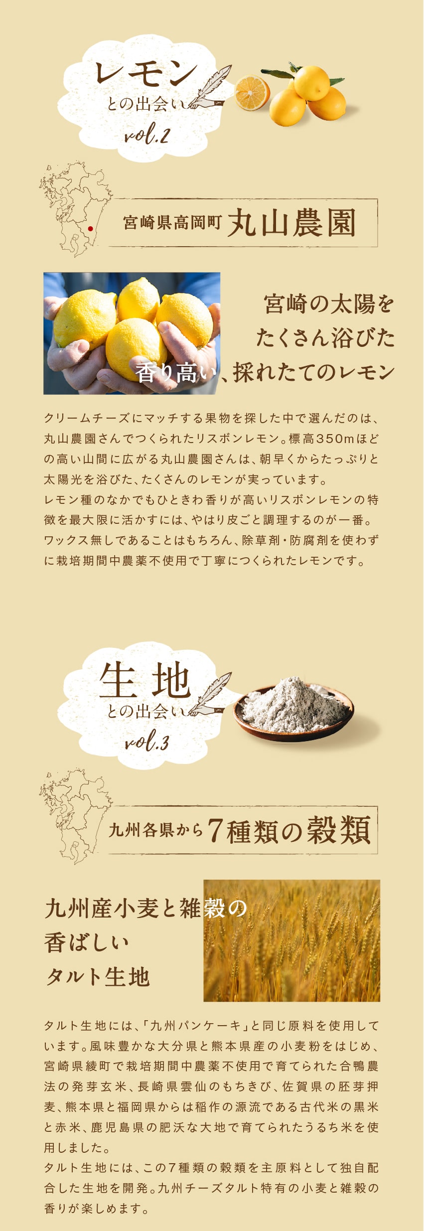 九州チーズタルト
