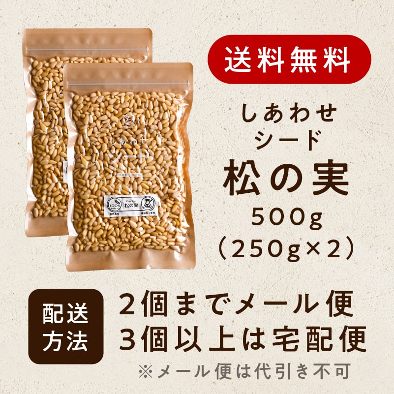 56%OFF!】 松の実 500g i9tmg.com.br