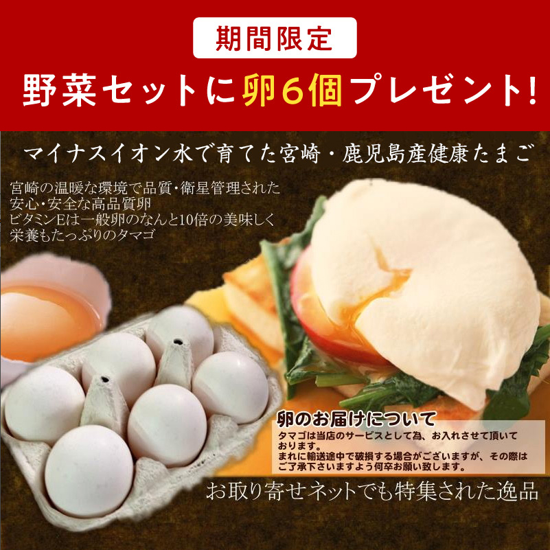 九州野菜セットサムネイル01